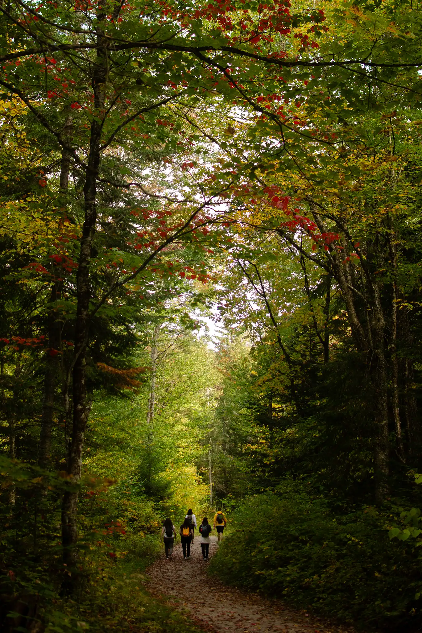 quebec/Canada-059-3264 x 4928.webp